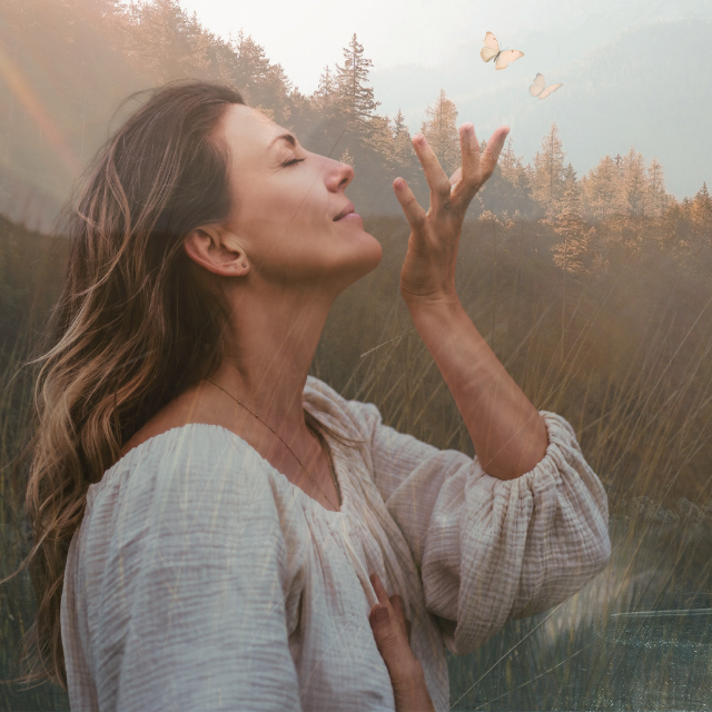 Guided Meditations